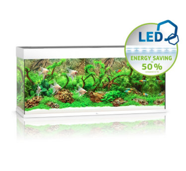 Rio 240 LED - White